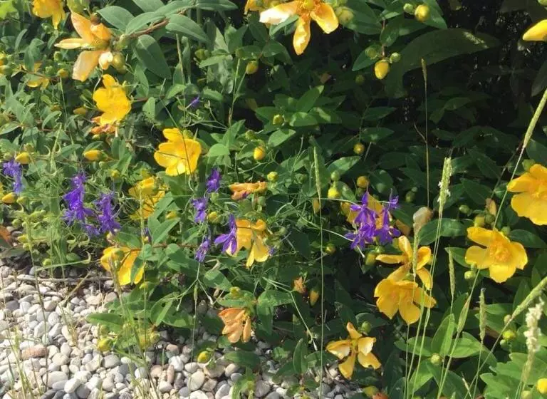 ベッドアンドブレックファースト Corte Castello