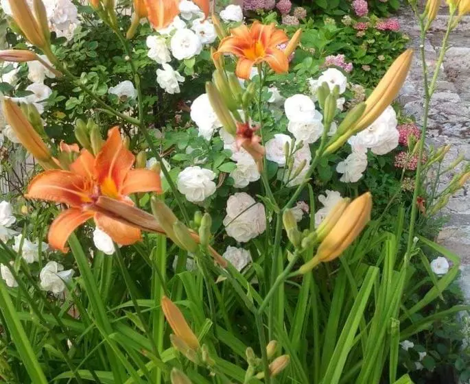 ベッドアンドブレックファースト Corte Castello