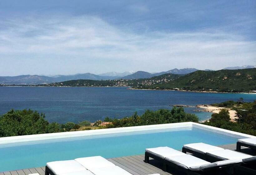 مبيت وإفطار Dililodge