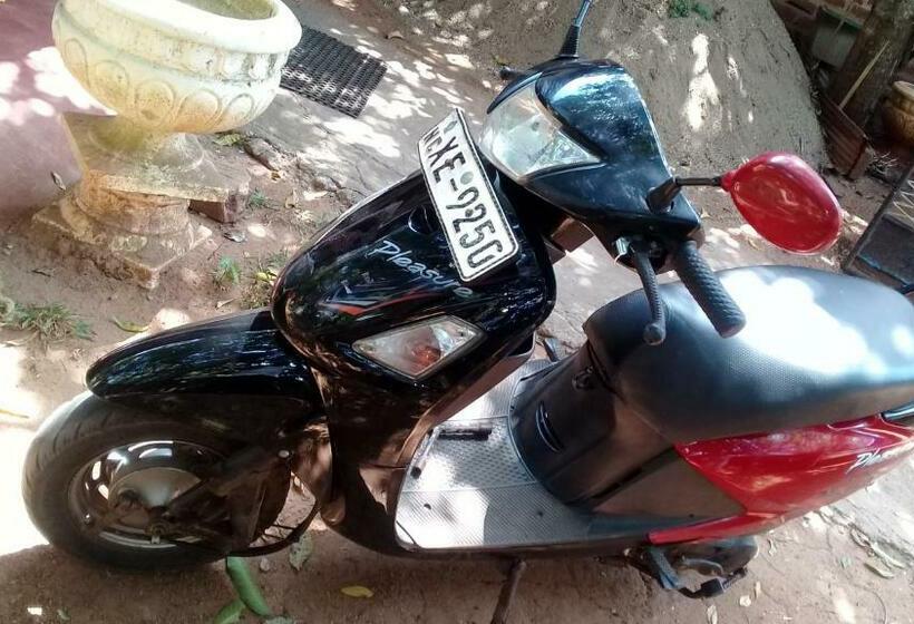 住宿加早餐  Village Garden Inn