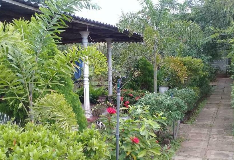 住宿加早餐  Village Garden Inn