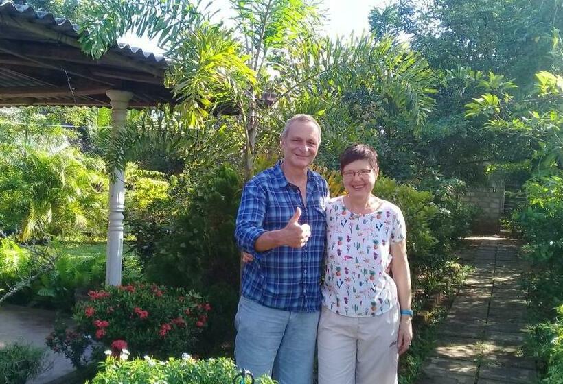 住宿加早餐  Village Garden Inn