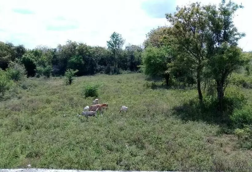 Aamiaismajoitus (B&B) Village Garden Inn