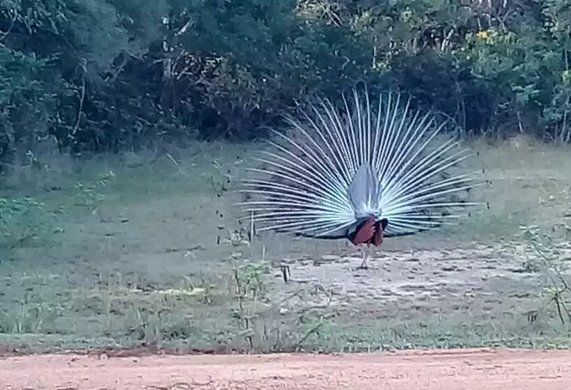 Aamiaismajoitus (B&B) Village Garden Inn