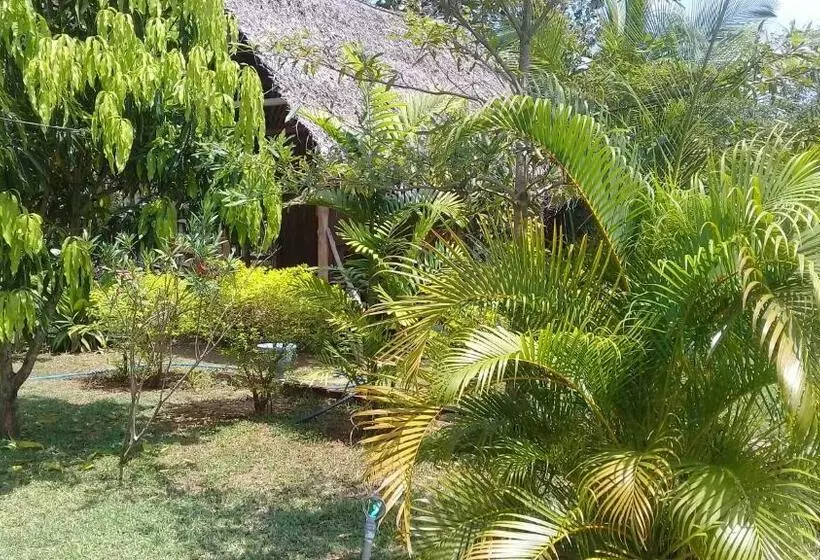 Aamiaismajoitus (B&B) Village Garden Inn