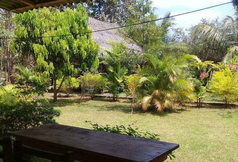 住宿加早餐  Village Garden Inn