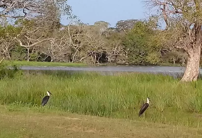 Aamiaismajoitus (B&B) Village Garden Inn