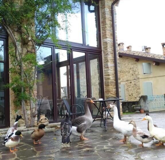 בית מלון כפרי Agriturismo Il Gelso