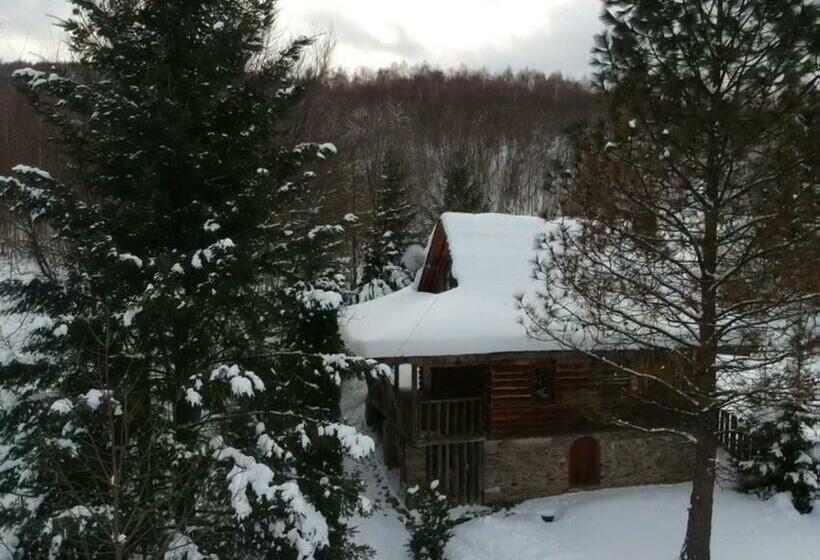 Отель Perlyna Krasiyi