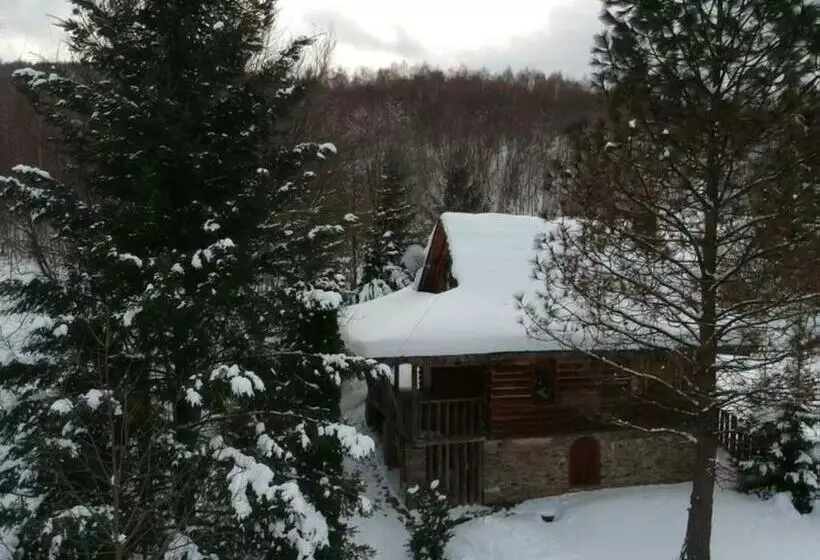 ホテル Perlyna Krasiyi