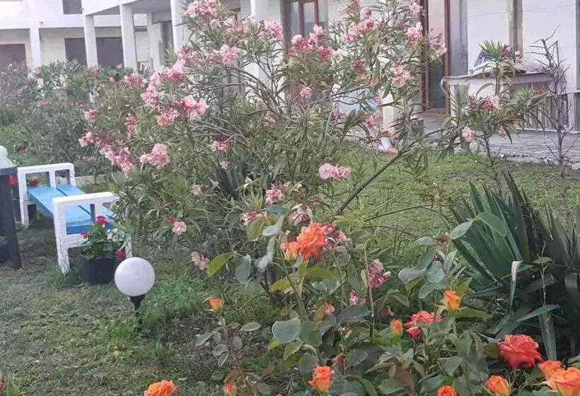 ホテル Rohi