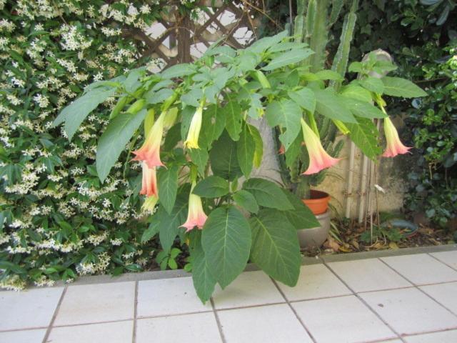 Pensjonat Affittacamere La Zattera