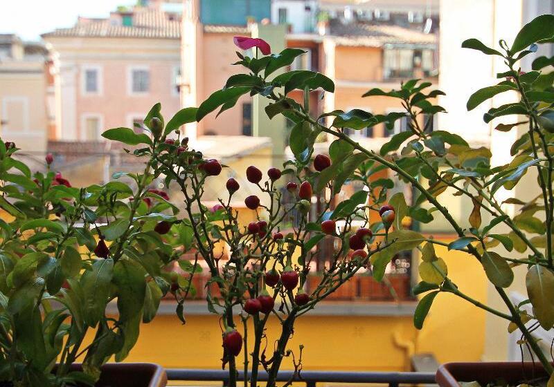 مبيت وإفطار Guesthouse O Affittacamere Irooms Pantheon