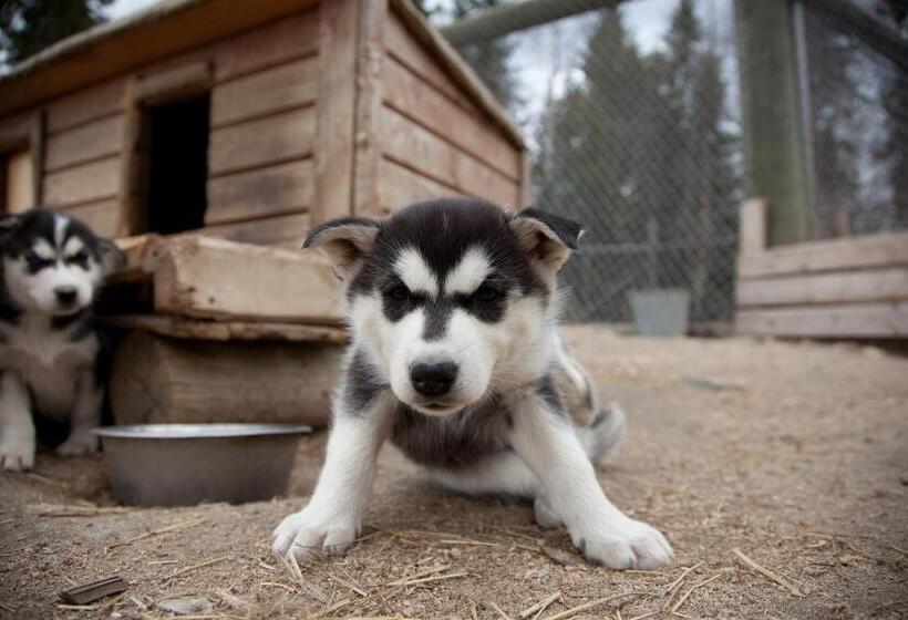 Harriniva Adventure Resort