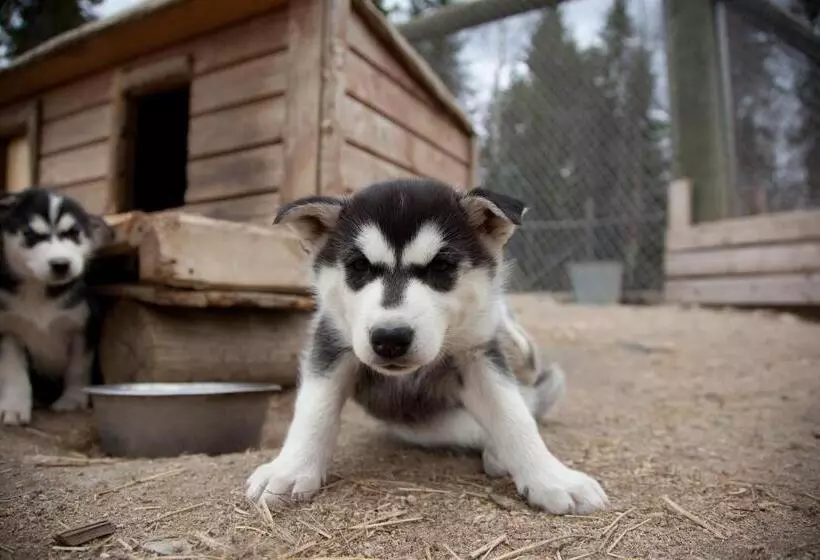 Harriniva Adventure Resort