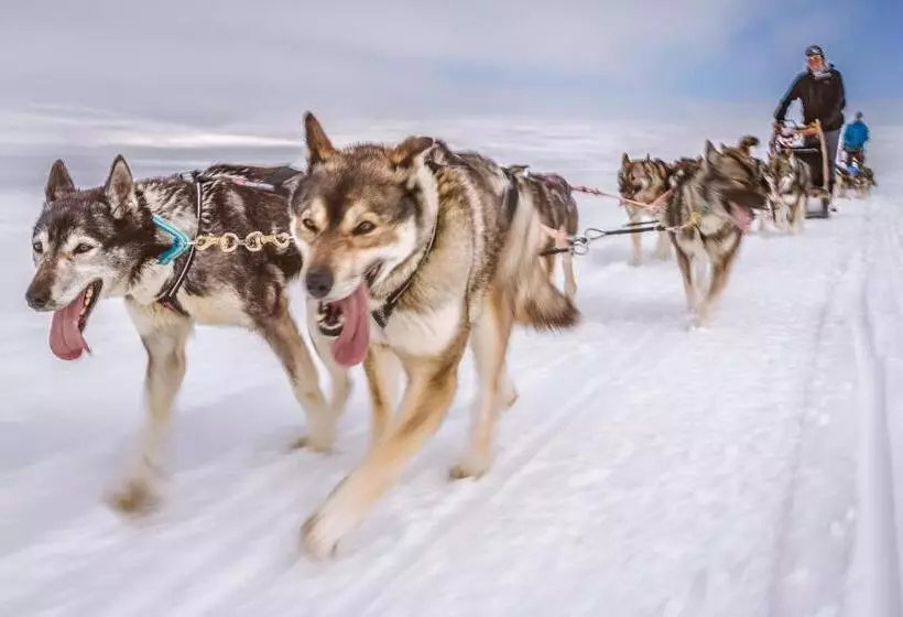 Harriniva Adventure Resort