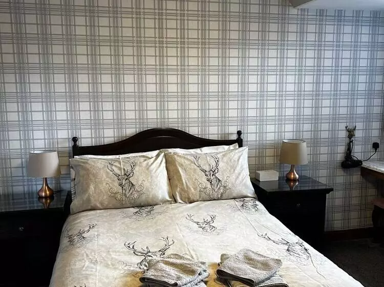 Хостел Acer Lodge Guest House