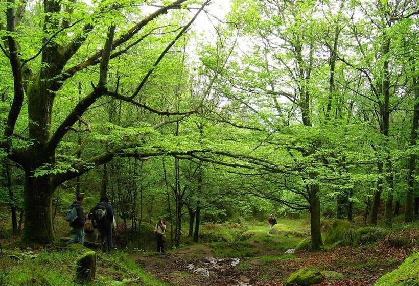 Carmo S Boutique Hotel   Small Luxury Hotels Of The World