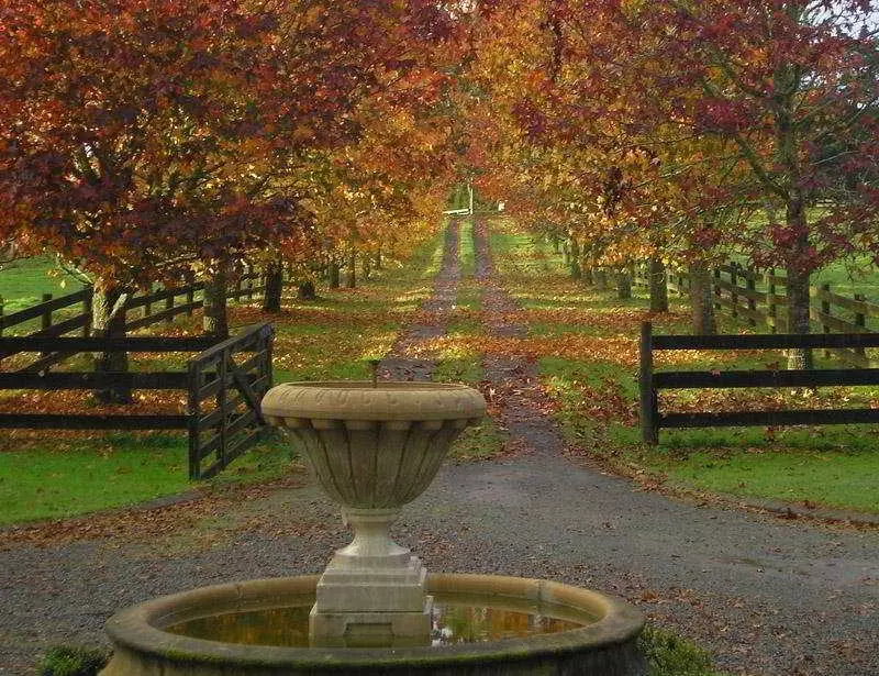 호텔 The Ambers Bed And Breakfast