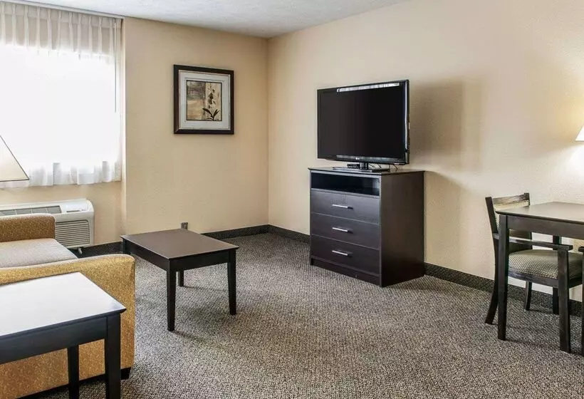 호텔 Quality Inn & Suites