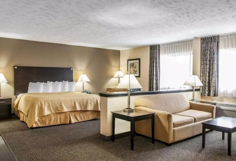 호텔 Quality Inn & Suites