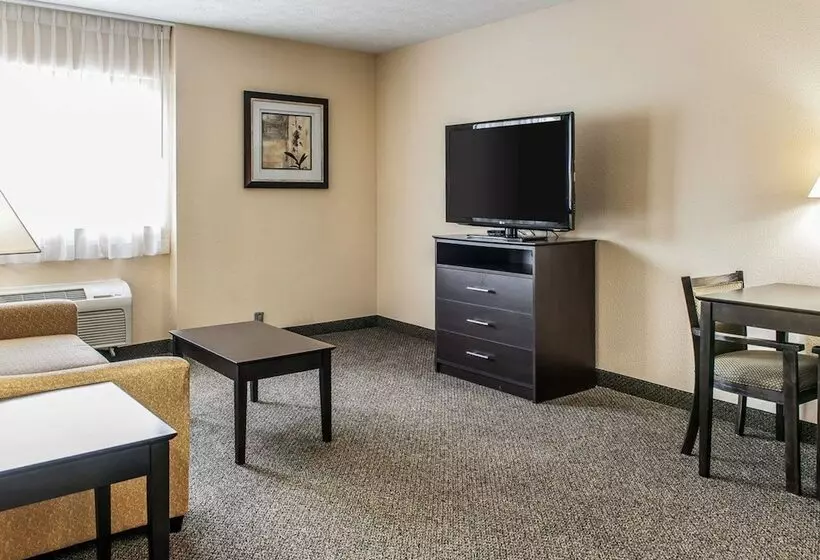 호텔 Quality Inn & Suites