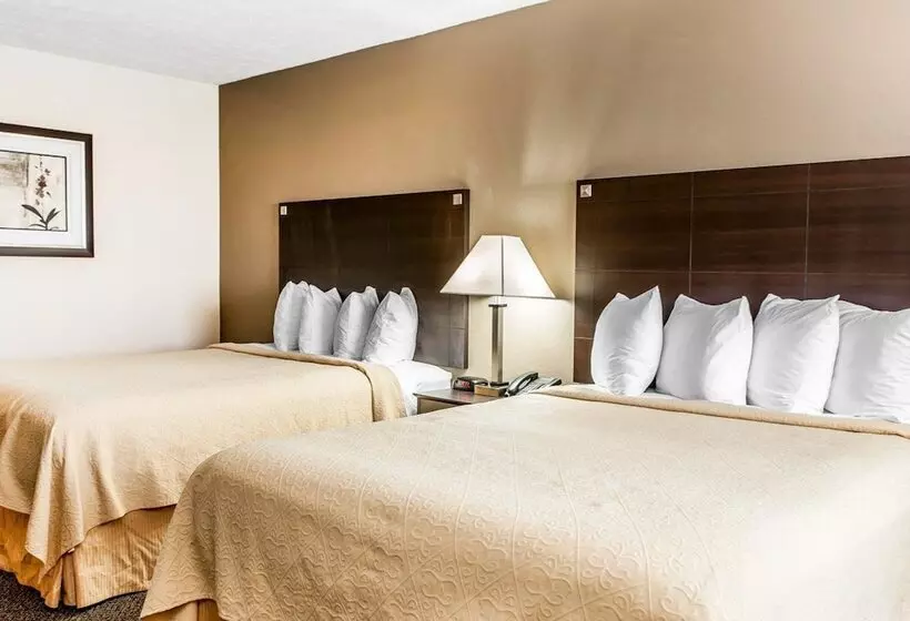 호텔 Quality Inn & Suites
