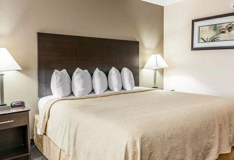 호텔 Quality Inn & Suites