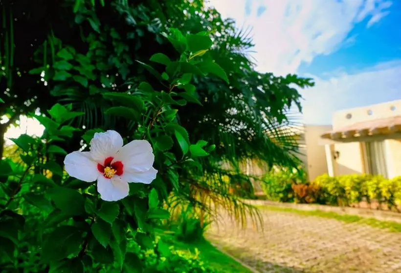 ホテル Soffia Boracay