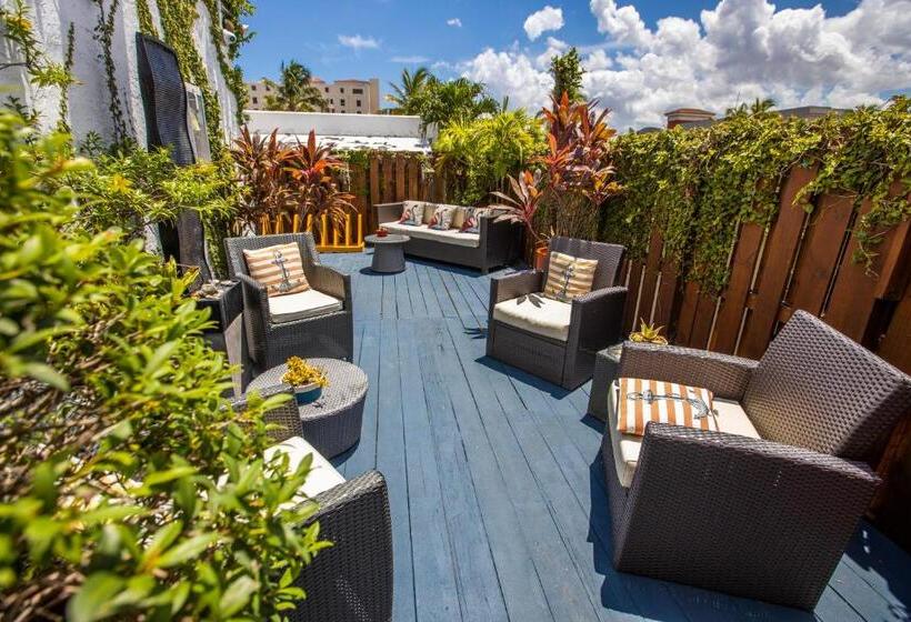 فندق صغير Hollywood Beach Suites And