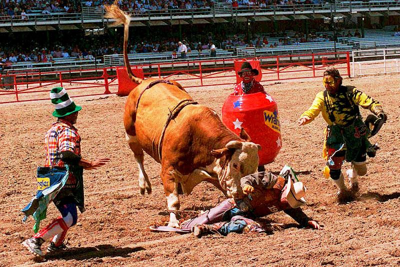 酒店 Candlewood Suites Cheyenne, An Ihg