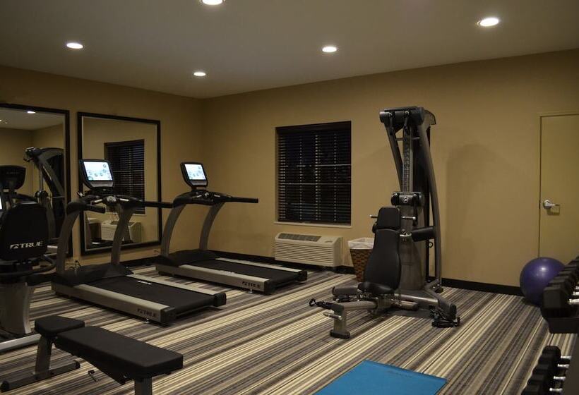 호텔 Candlewood Suites Greenville, An Ihg