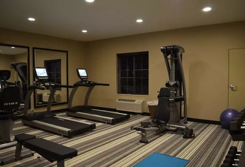 酒店 Candlewood Suites Greenville, An Ihg