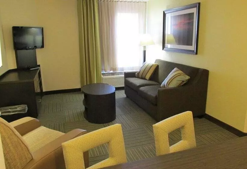 酒店 Candlewood Suites Greenville, An Ihg