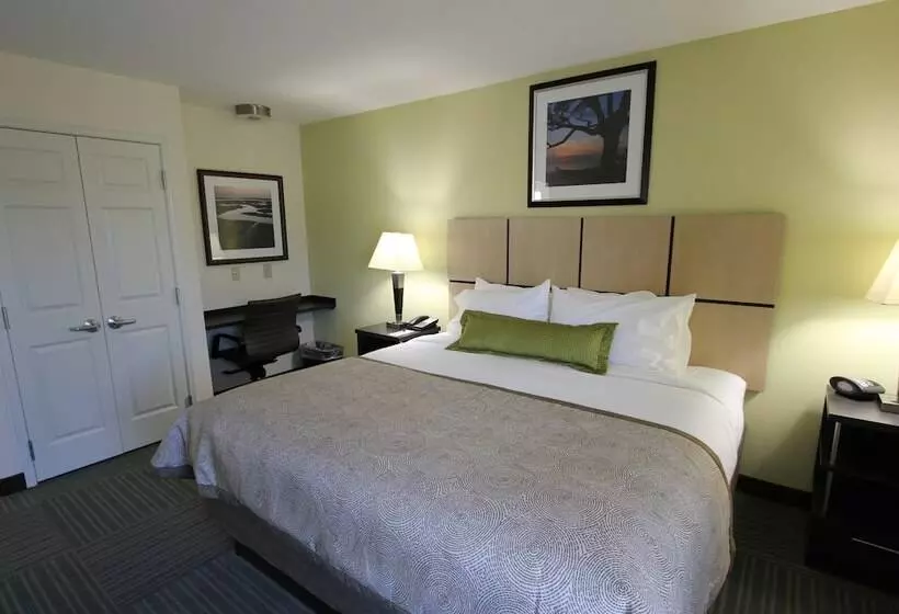 酒店 Candlewood Suites Greenville, An Ihg