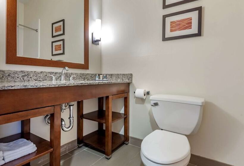 בית מלון כפרי Comfort Inn Apalachin   Binghamton W Route 17