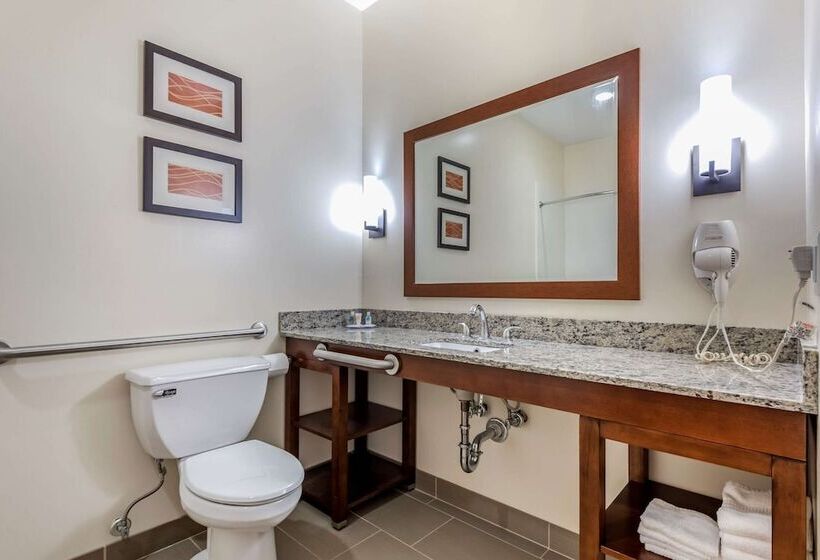 בית מלון כפרי Comfort Inn Apalachin   Binghamton W Route 17