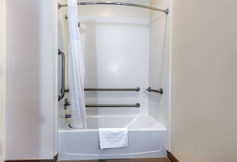 בית מלון כפרי Comfort Inn Apalachin   Binghamton W Route 17