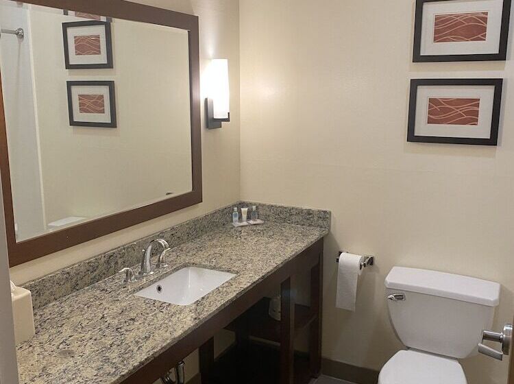 בית מלון כפרי Comfort Inn Apalachin   Binghamton W Route 17