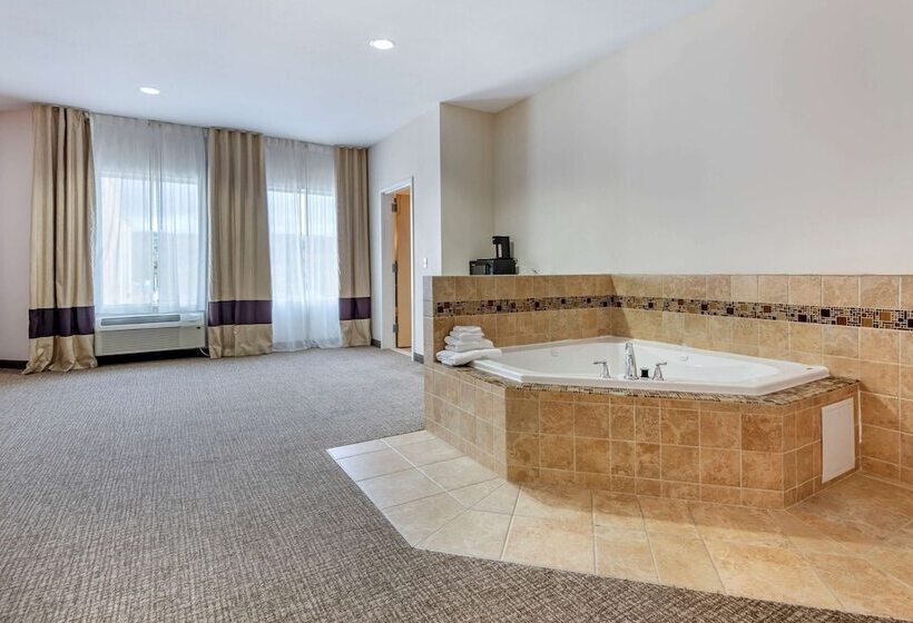 בית מלון כפרי Comfort Inn Apalachin   Binghamton W Route 17