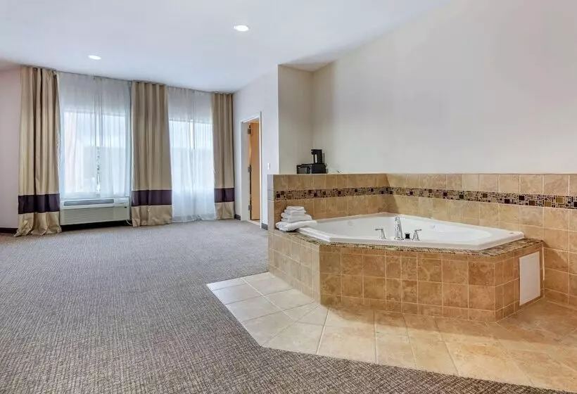 Hôtel Comfort Inn Apalachin   Binghamton W Route 17