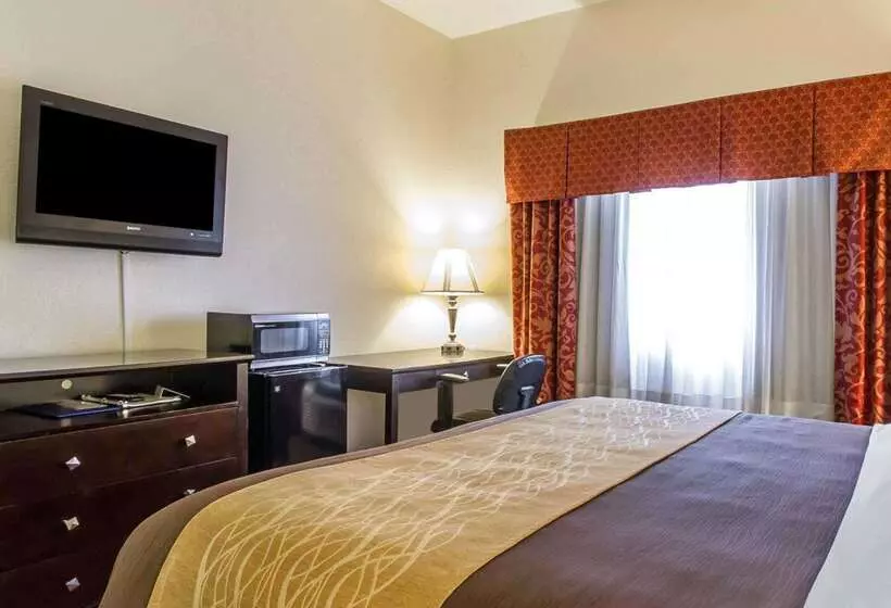 ホテル Comfort Inn & Suites Atoka