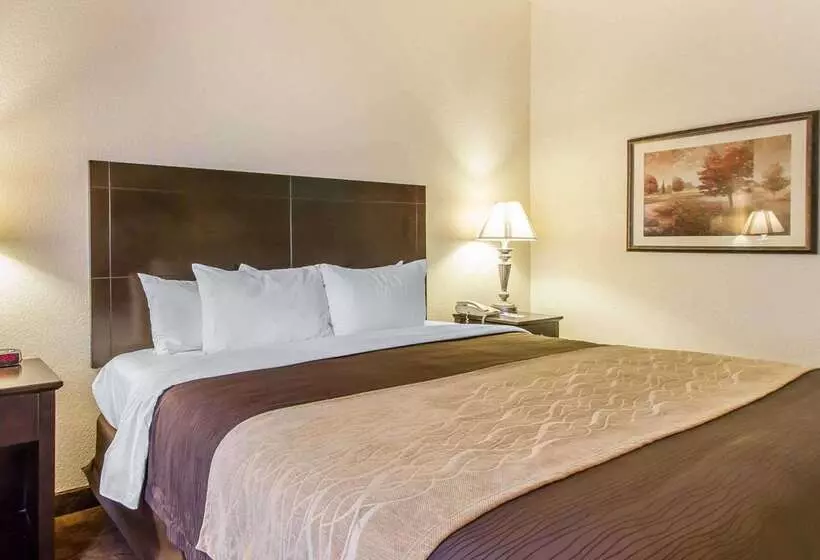 ホテル Comfort Inn & Suites Atoka