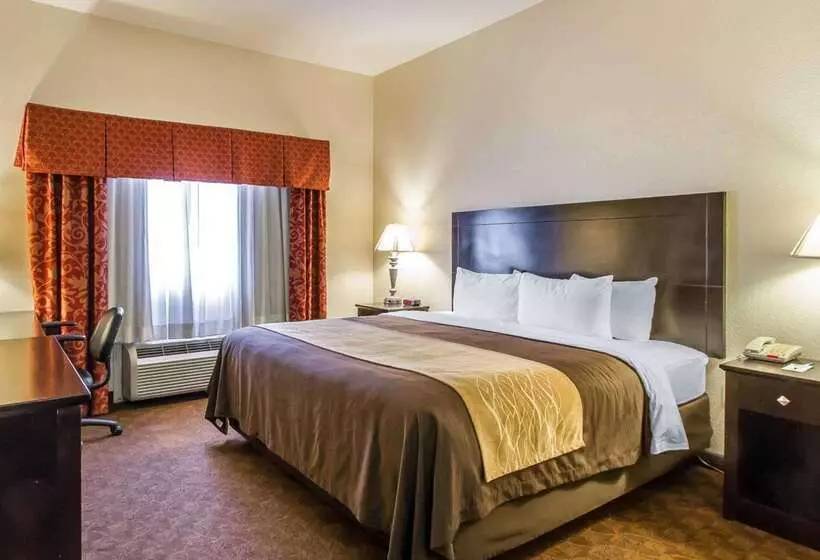 ホテル Comfort Inn & Suites Atoka