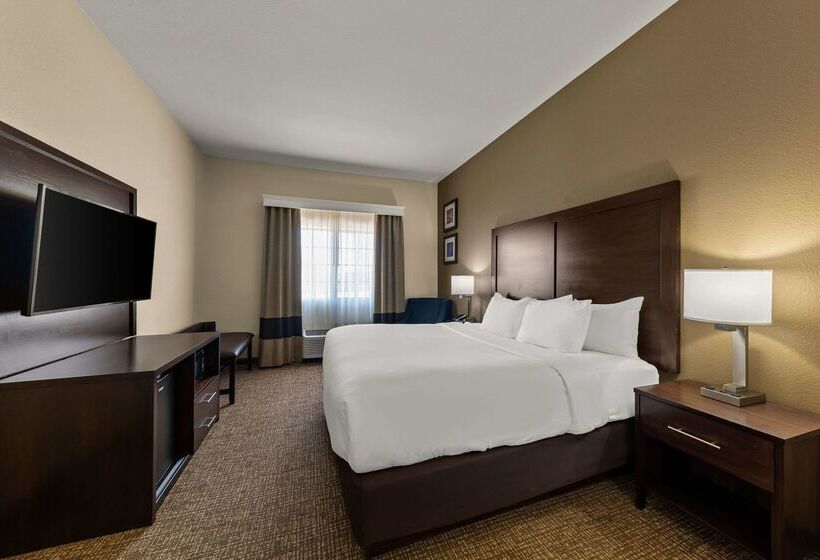 Отель Comfort Inn & Suites Atoka
