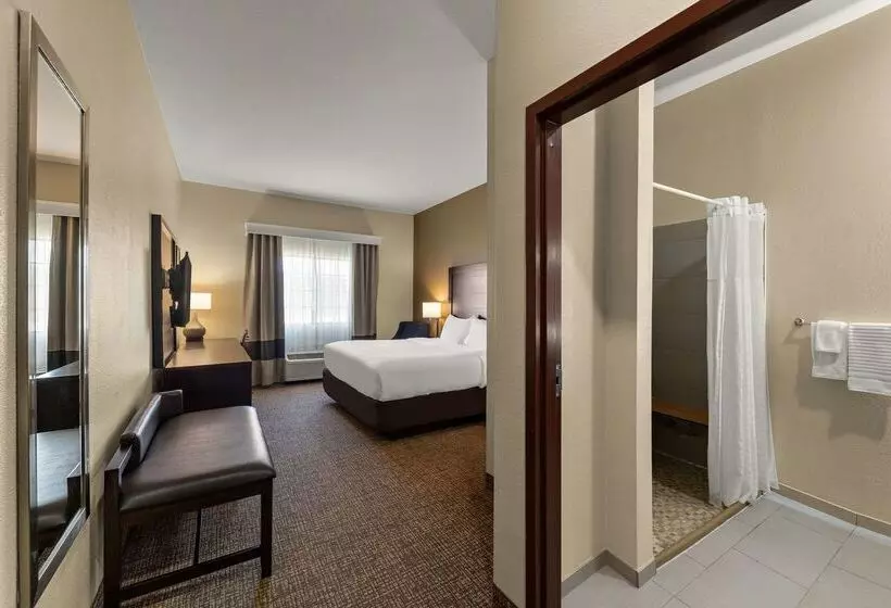 ホテル Comfort Inn & Suites Atoka