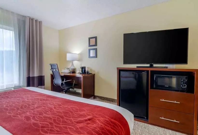 호텔 Comfort Inn & Suites Hillsville I77