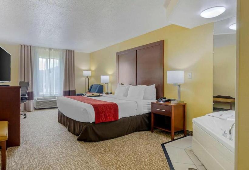 Отель Comfort Inn & Suites Hillsville I77