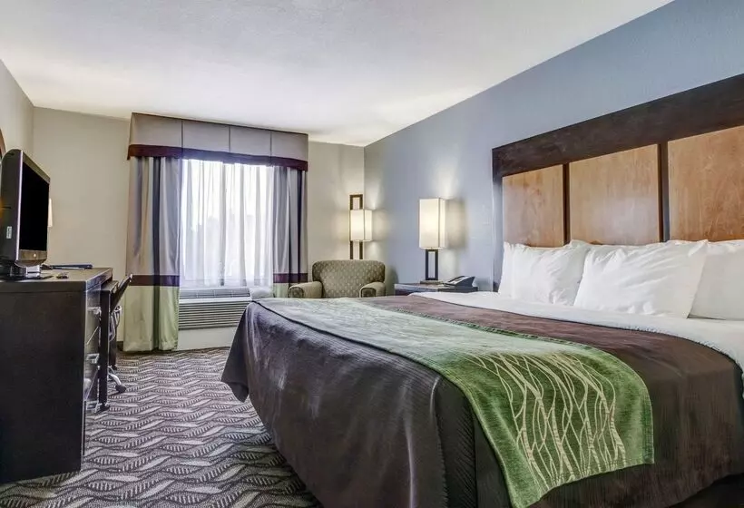 هتل Comfort Inn & Suites I10 Airport