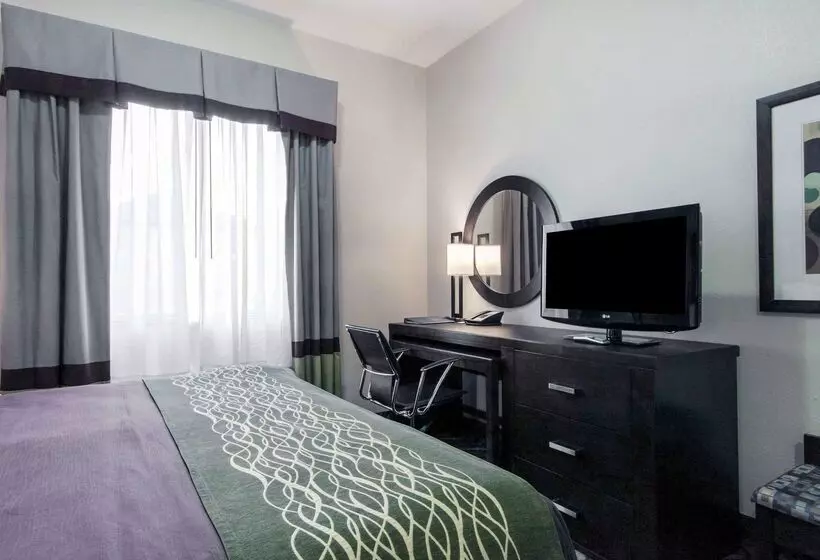 هتل Comfort Inn & Suites I10 Airport
